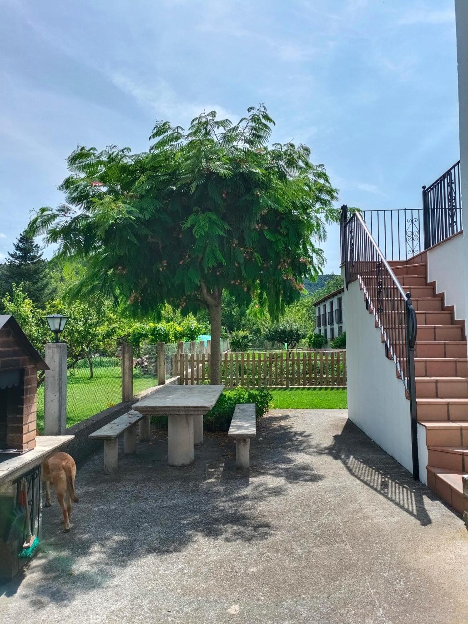 Apartamento Rural Casa Paco Con Jacuzzi Exterior Y Barbacoa 艾因萨 外观 照片